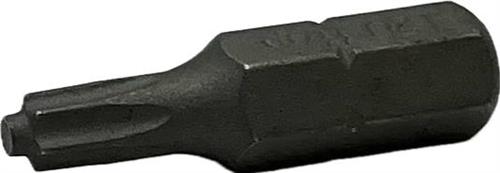Bits T10 25 mm Blank