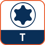 Spanplattenschraube 6,0 x 60 mm – Rundkopf TX25